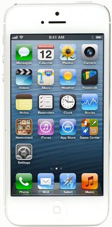 Смартфон Apple iPhone 5 32Gb White & Silver - Сухой Лог